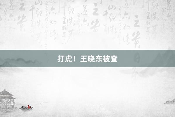 打虎！王晓东被查