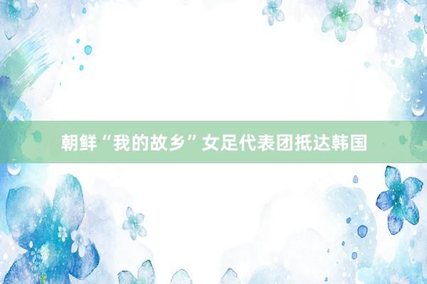 朝鲜“我的故乡”女足代表团抵达韩国