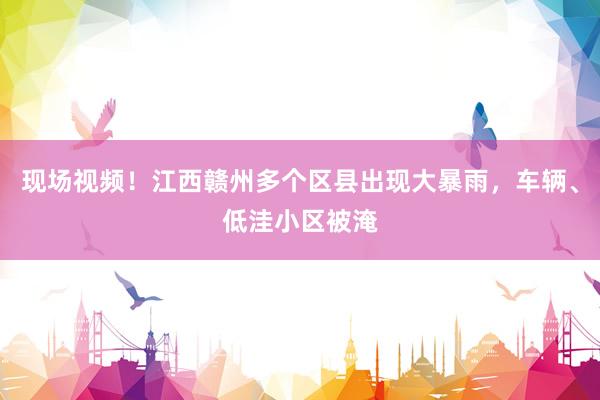 现场视频！江西赣州多个区县出现大暴雨，车辆、低洼小区被淹