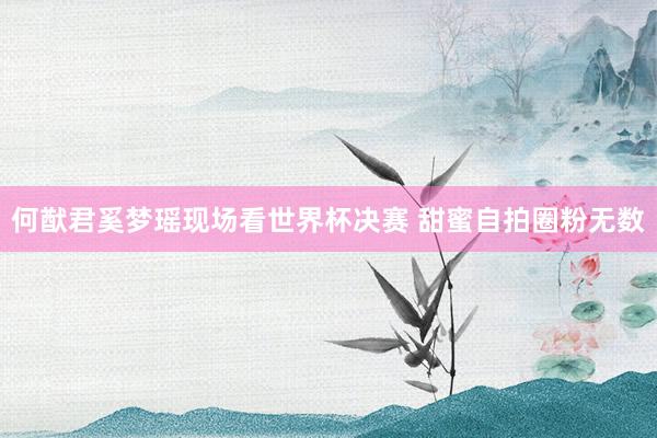 何猷君奚梦瑶现场看世界杯决赛 甜蜜自拍圈粉无数