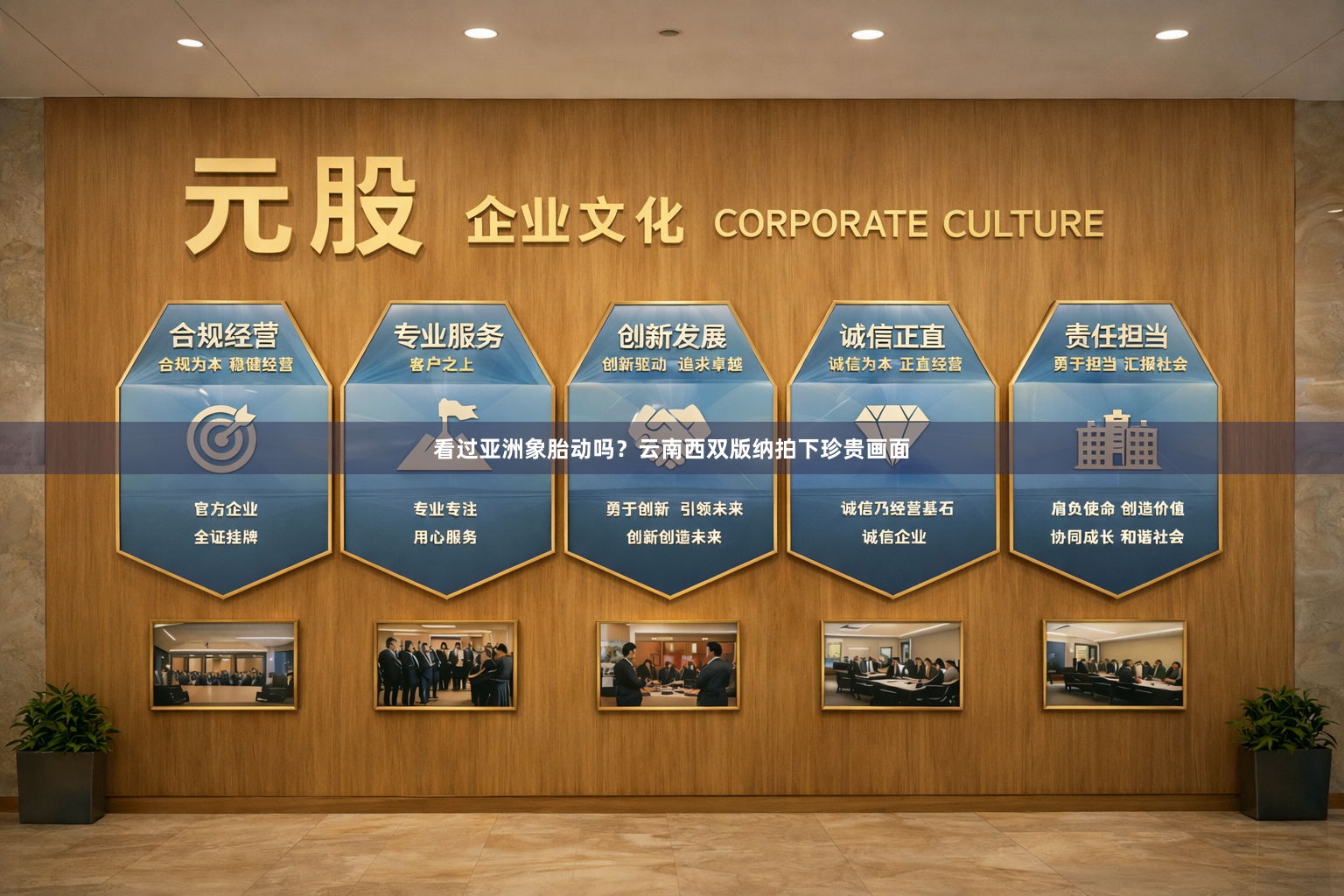 看过亚洲象胎动吗？云南西双版纳拍下珍贵画面