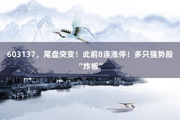 603137，尾盘突变！此前8连涨停！多只强势股“炸板”