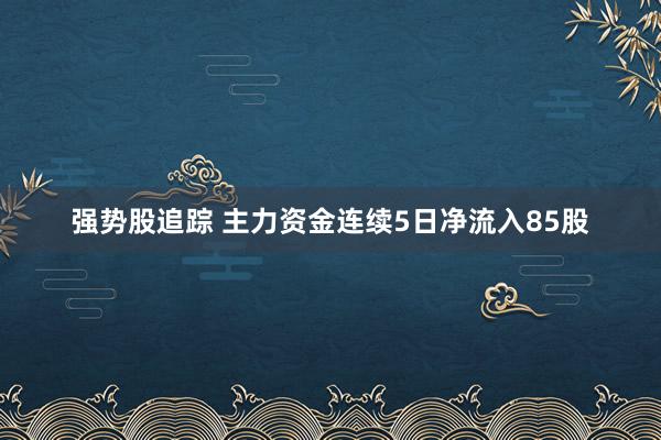 强势股追踪 主力资金连续5日净流入85股