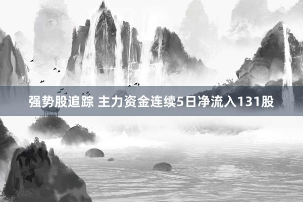 强势股追踪 主力资金连续5日净流入131股