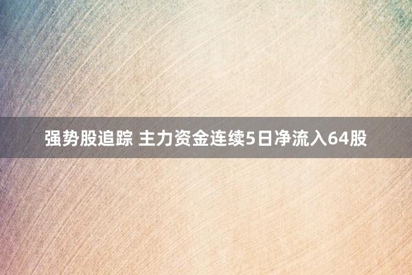 强势股追踪 主力资金连续5日净流入64股