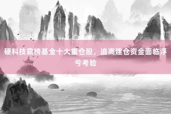 硬科技霸榜基金十大重仓股，追高建仓资金面临浮亏考验