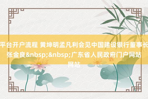 平台开户流程 黄坤明孟凡利会见中国建设银行董事长张金良广东省人民政府门户网站