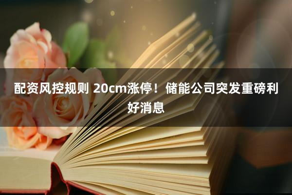 配资风控规则 20cm涨停！储能公司突发重磅利好消息