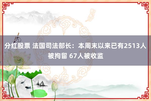 分红股票 法国司法部长：本周末以来已有2513人被拘留 67人被收监